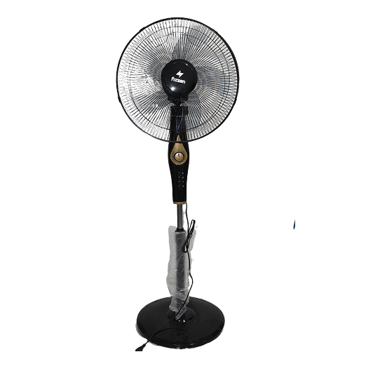 Ceiling & Pedestal Fans