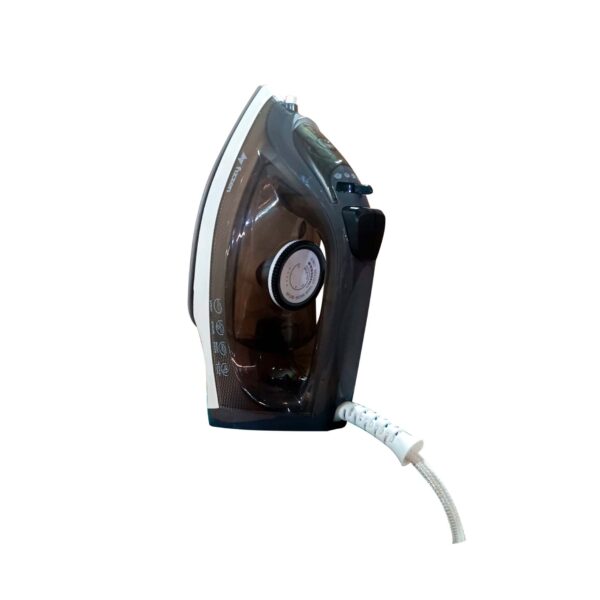 Ferro elétrico-24W02